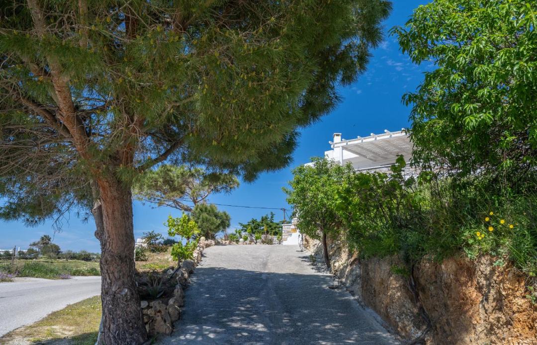 Photo of Others in Naxos
