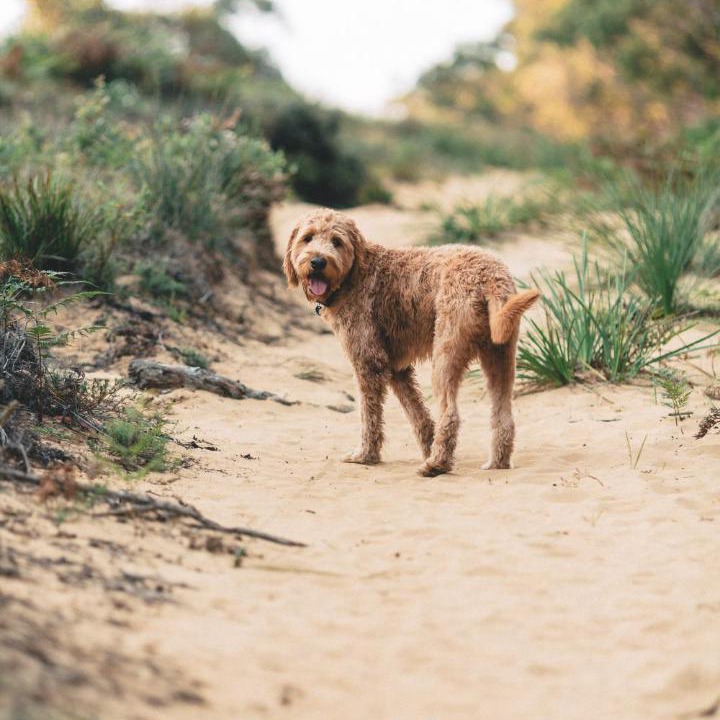 Photo of Others in Bundeena