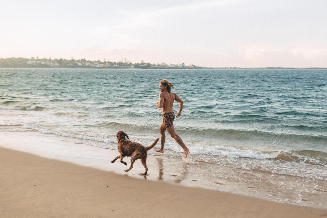 Photo of Human In Picture in Bundeena