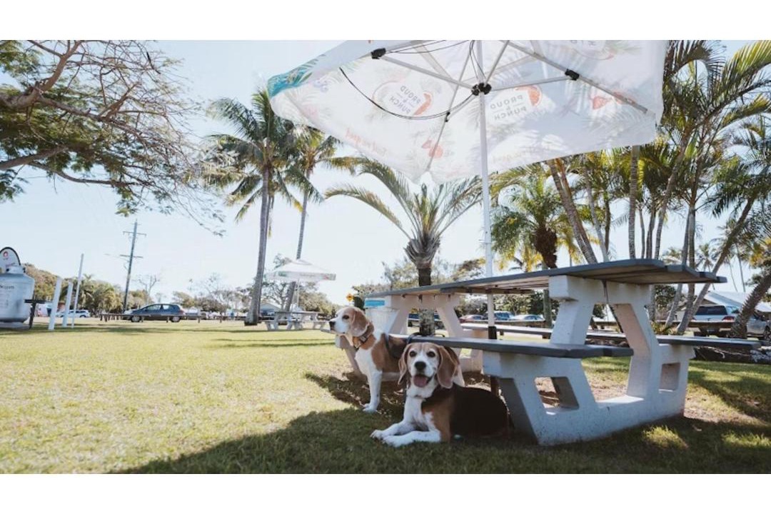 Photo of Others in Bargara