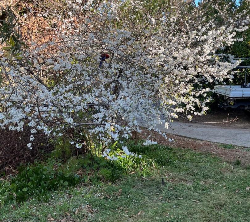 Photo of Outdoor in Blackheath