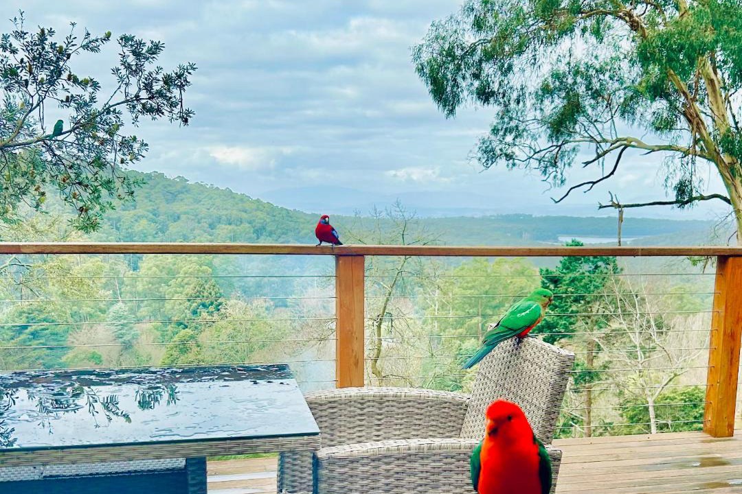 Photo of Patio Balcony in Kalorama