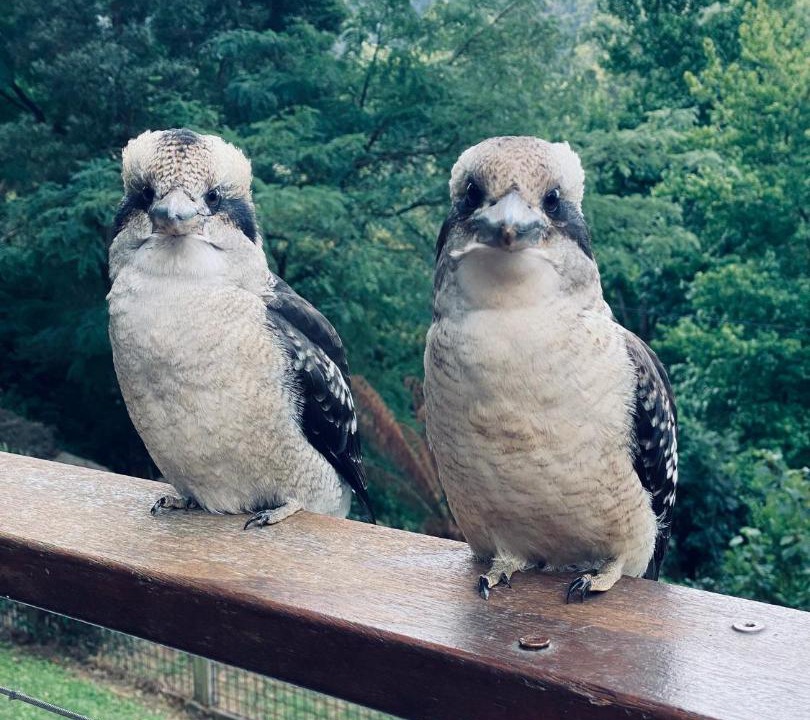 Photo of Others in Kalorama