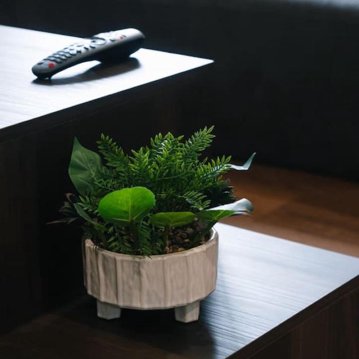 Photo of Livingroom in Sunnybank Hills