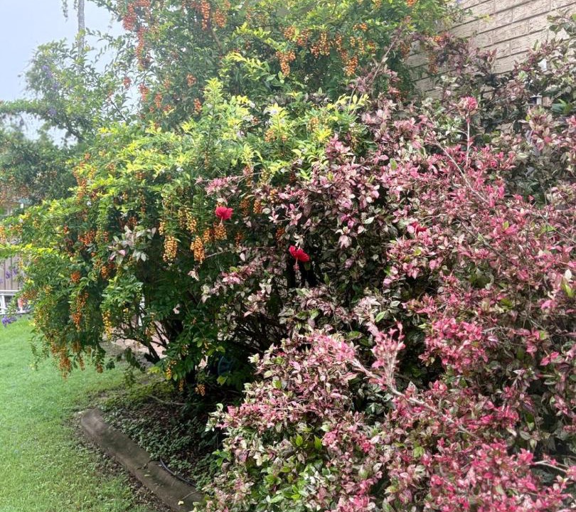 Photo of Outdoor in Point Vernon