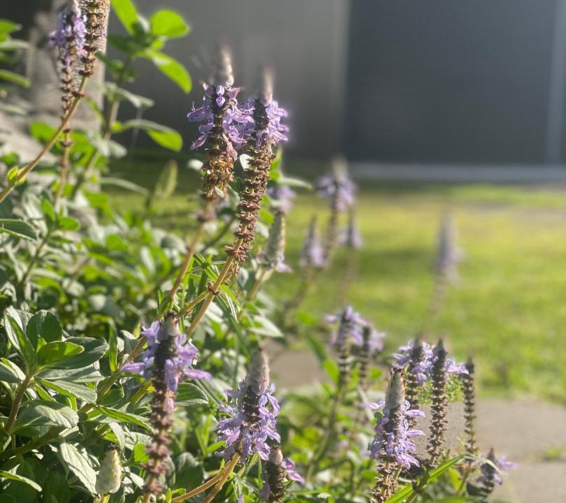 Photo of Outdoor in Pindimar
