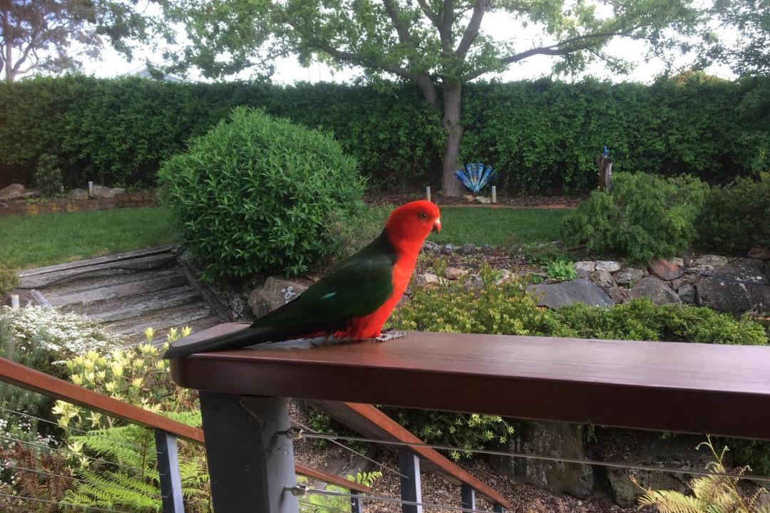 Photo of Patio Balcony in Orange East