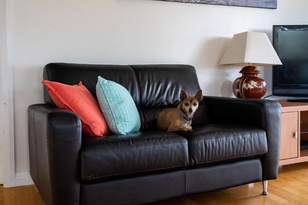 Photo of Livingroom in Forresters Beach