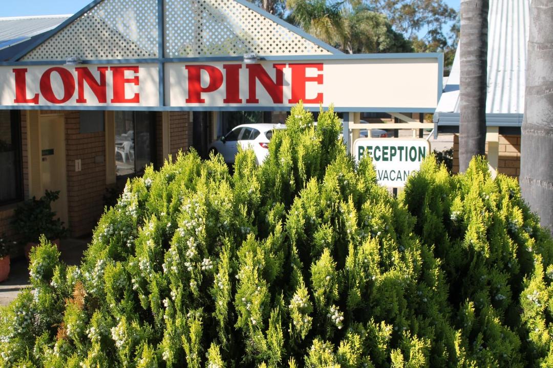 Photo of Others in Corowa