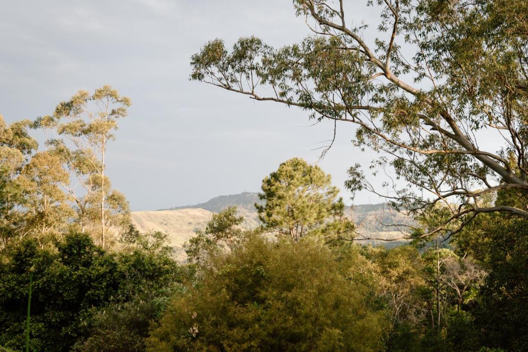 Photo of Others in Balmoral Ridge