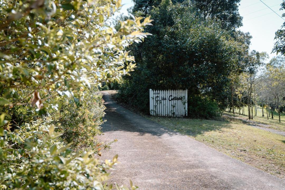 Photo of Others in Balmoral Ridge