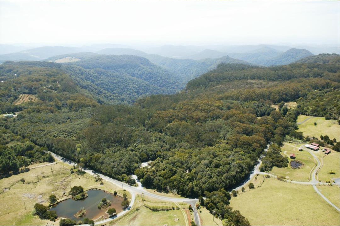 Photo of Others in Springbrook