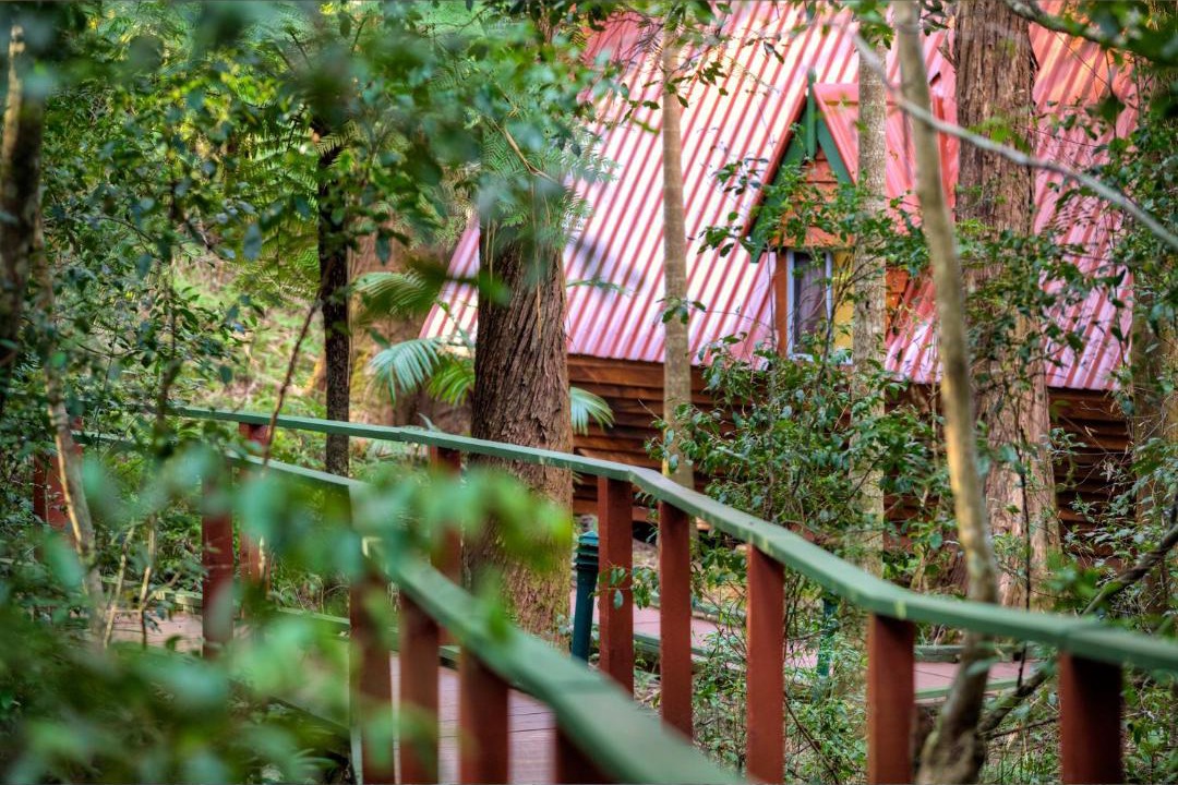 Photo of Others in Springbrook