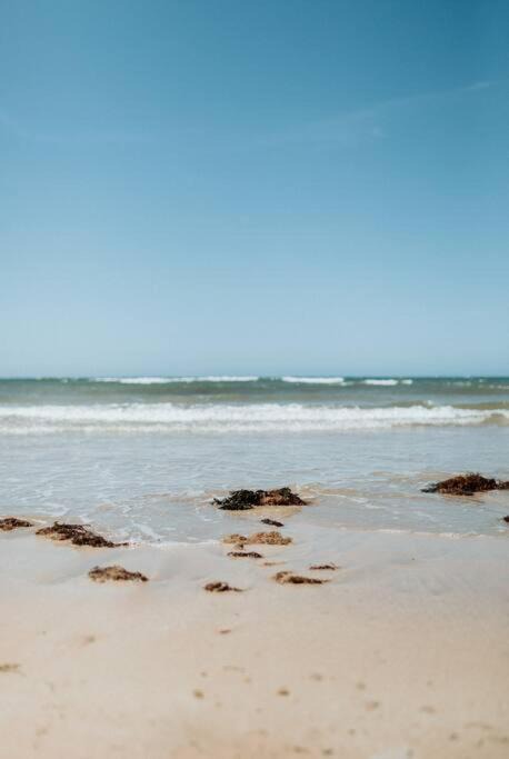 Photo of Others in Devonport