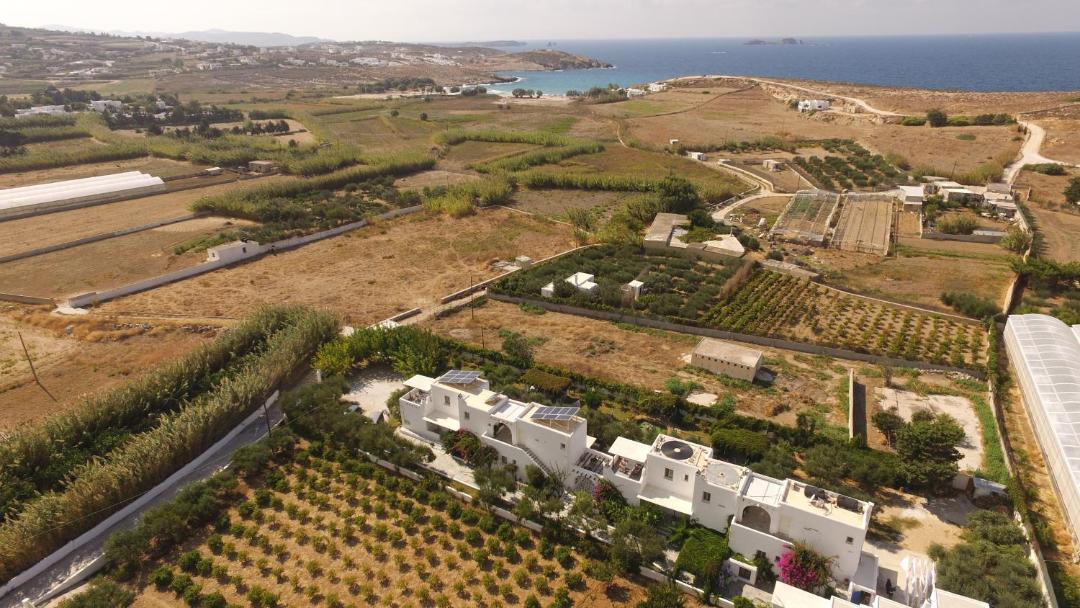 Photo of Others in Parasporos