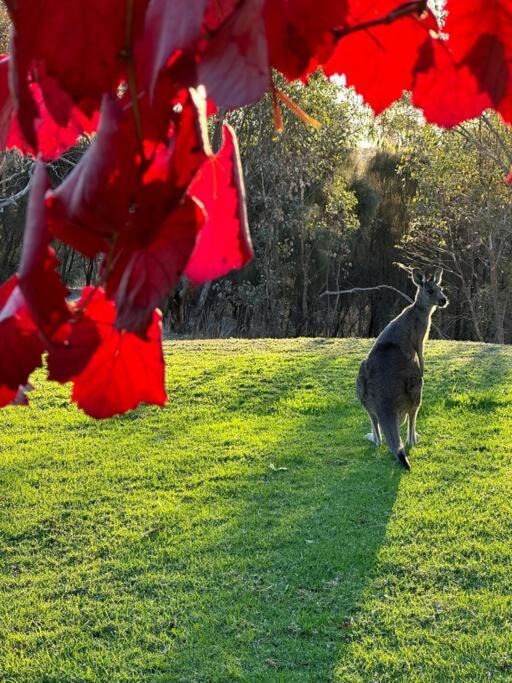 Photo of Others in Splitters Creek