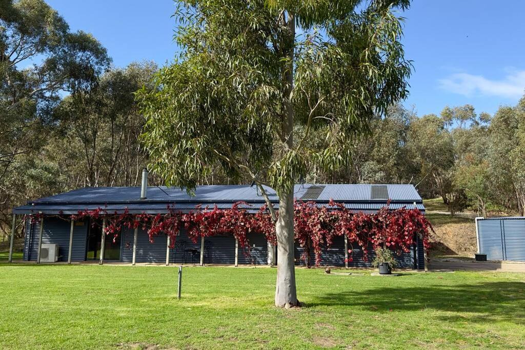 Photo of Others in Splitters Creek