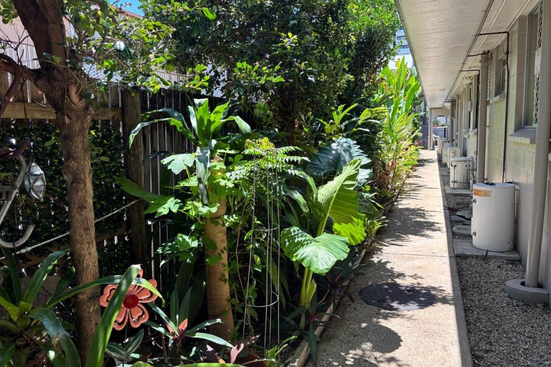 Photo of Others in Cairns North