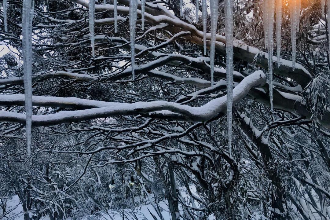 Photo of Others in Mount Buller