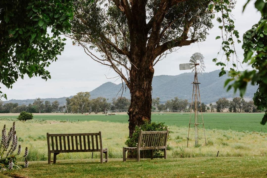 Photo of Others in Central Mudgee