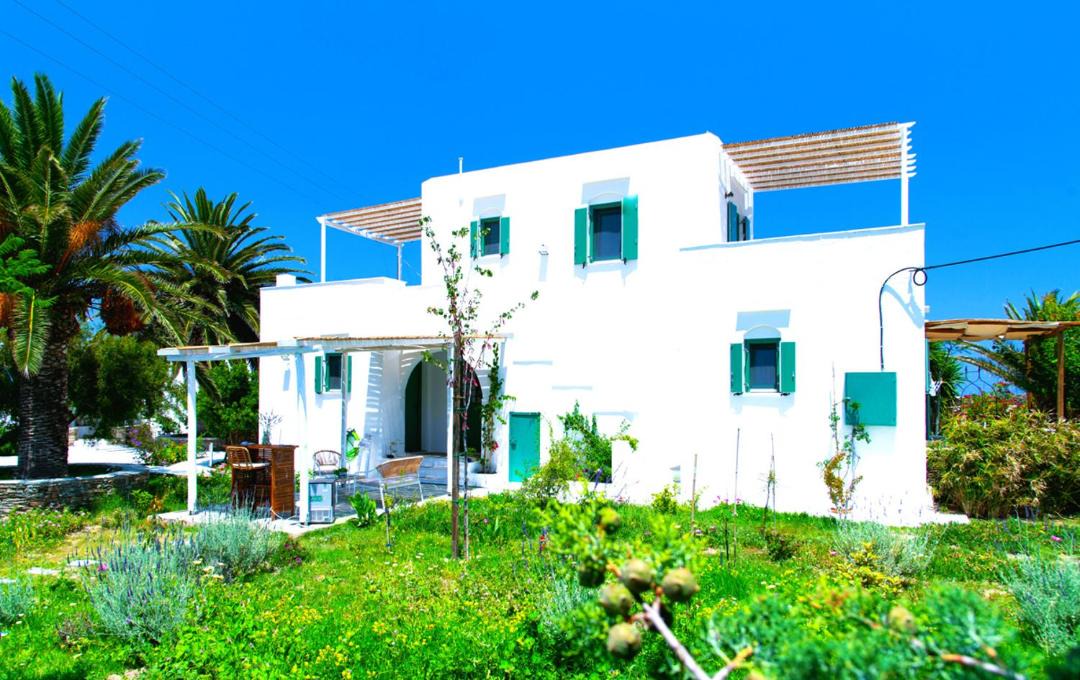 Photo of Others in Apollonia