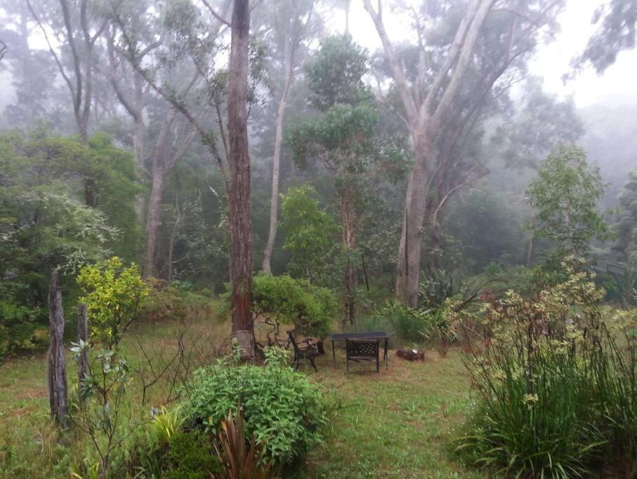 Photo of Others in Hazelbrook