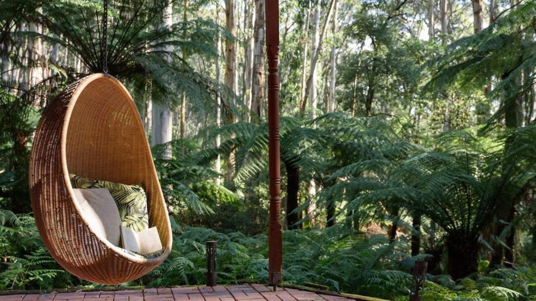 Photo of Others in Mount Toolebewong
