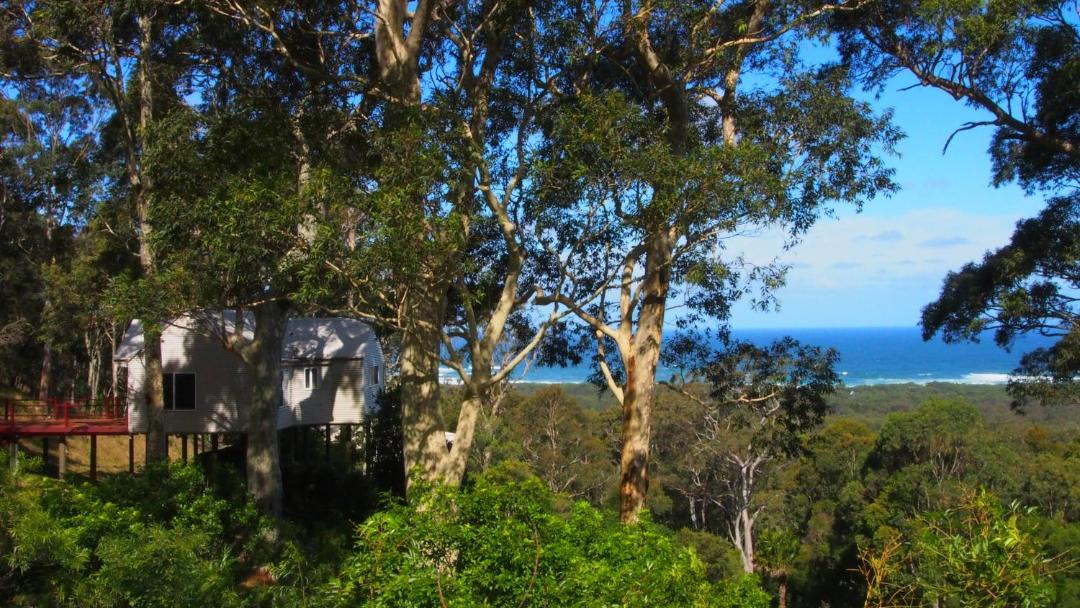 Photo of Others in Bawley Point