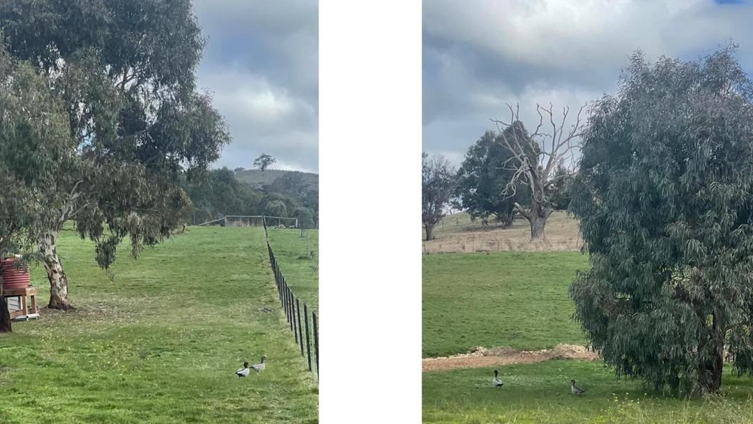Photo of Others in Bonnie Doon