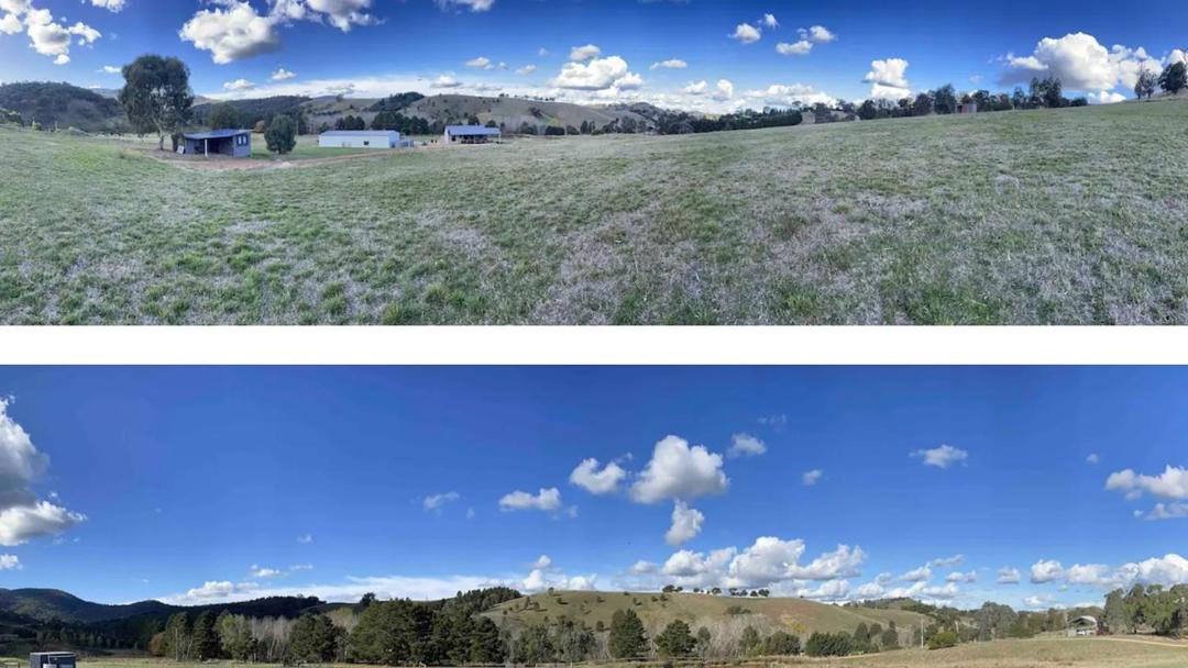 Photo of Others in Bonnie Doon