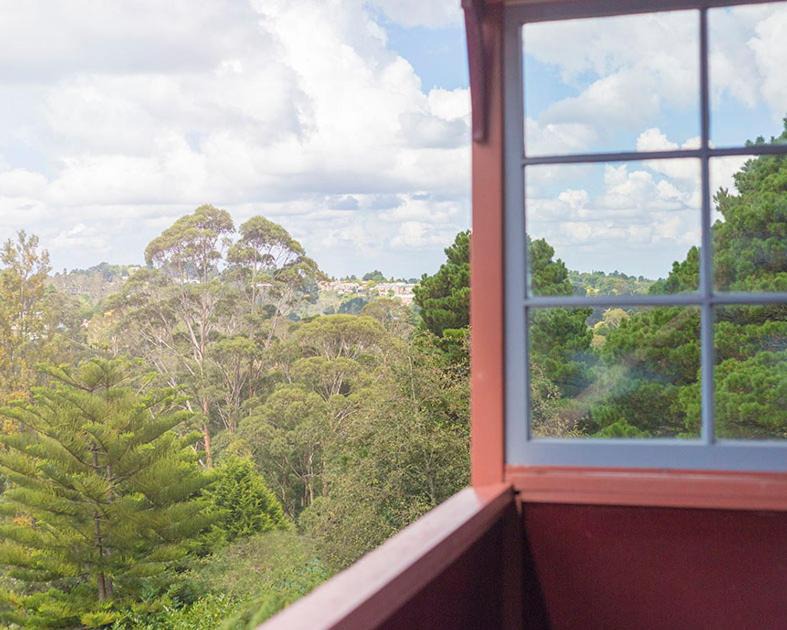 Photo of Others in Katoomba