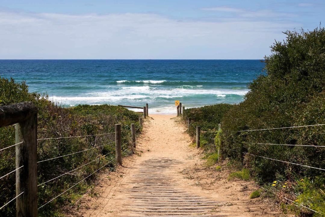 Photo of Others in Mona Vale