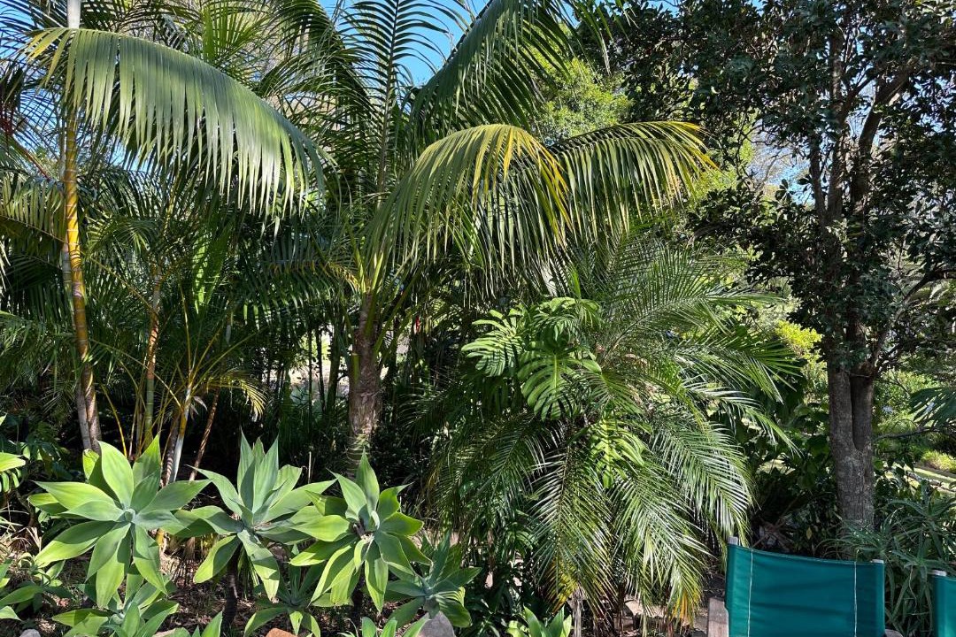 Photo of Others in Palm Beach
