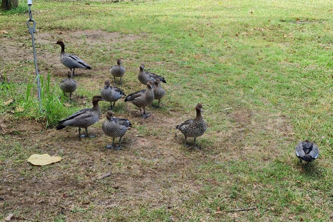 Photo of Outdoor in Rainbow Flat