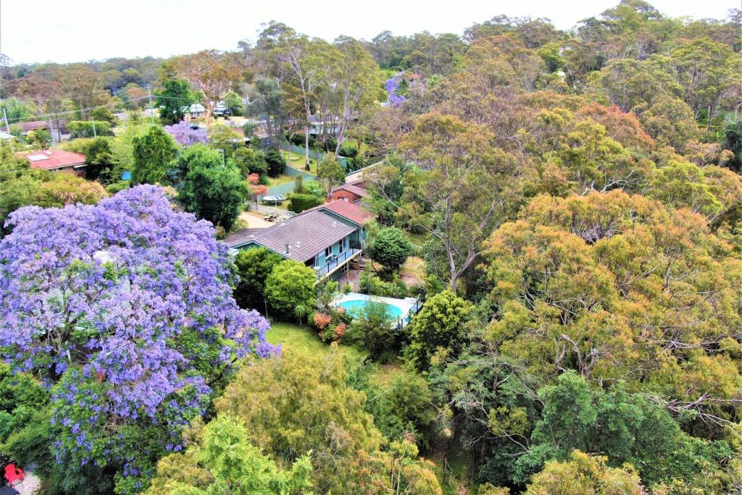 Photo of Others in Sydney