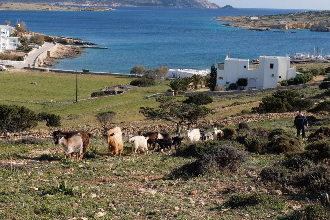 Photo of Others in Koufonisia