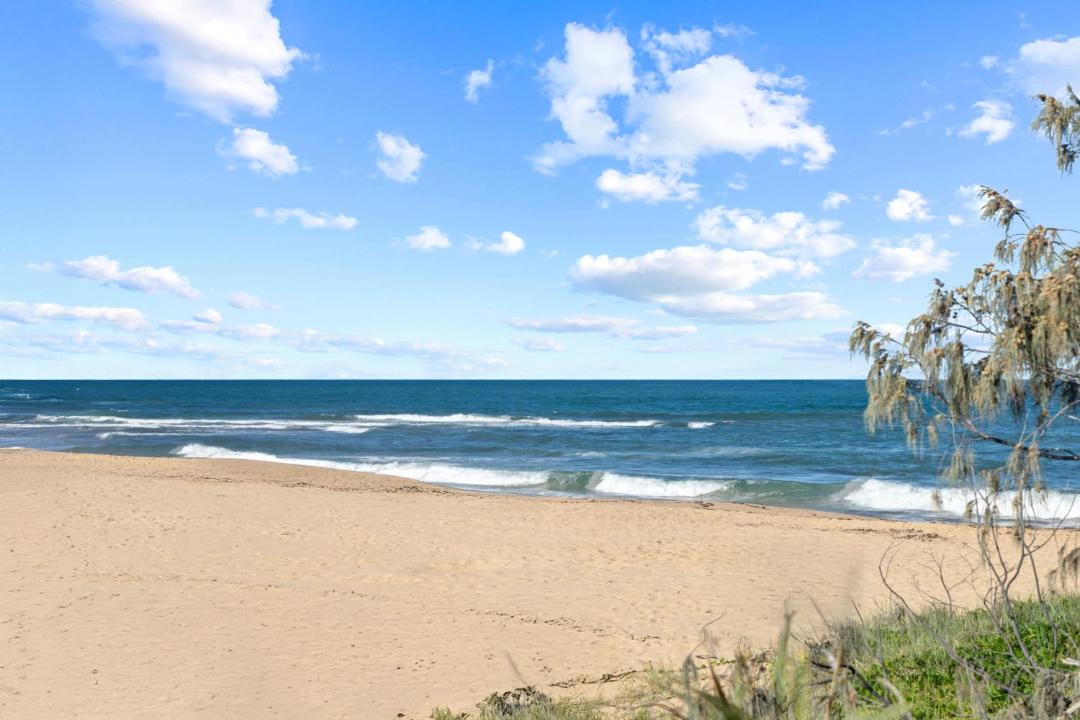 Photo of Others in Shelly Beach
