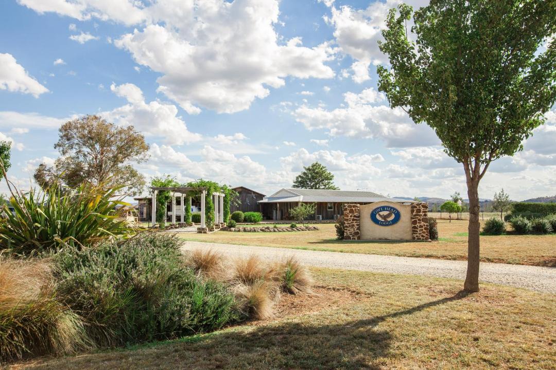Photo of Others in Gulgong