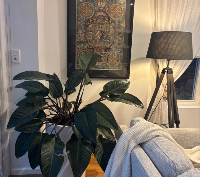 Photo of Livingroom in Bayview