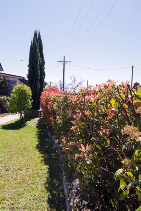 Photo of Outdoor in Tenterfield