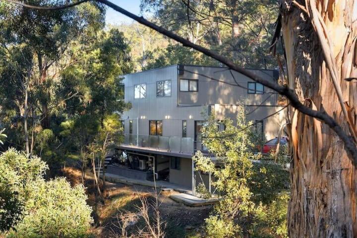 Photo of Others in Taroona