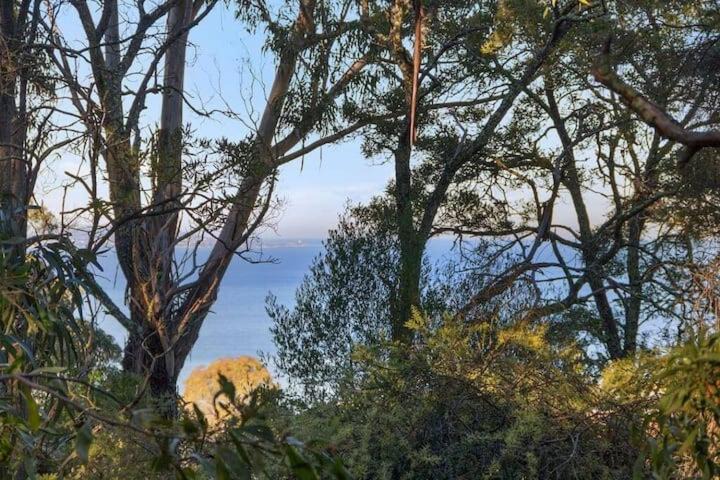 Photo of Others in Taroona