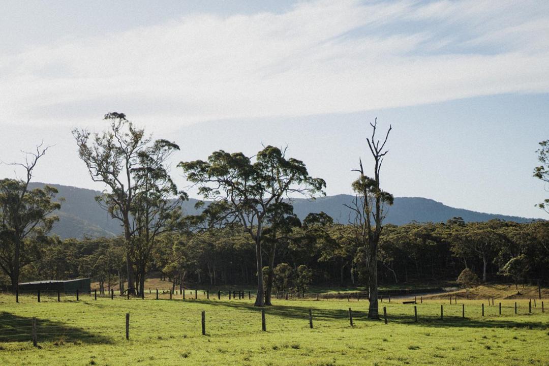 Photo of Others in Cooranbong