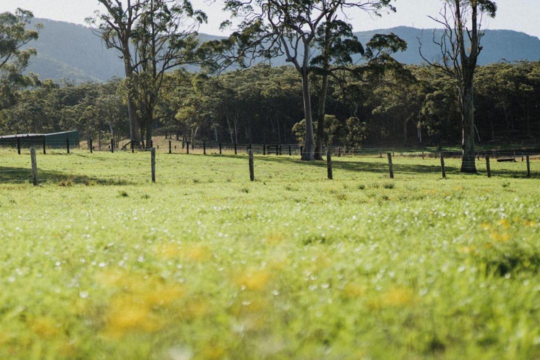 Photo of Others in Cooranbong