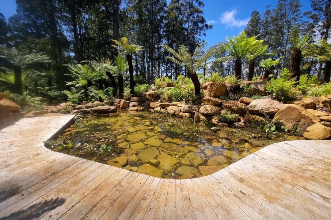 Photo of Others in Mount Dandenong