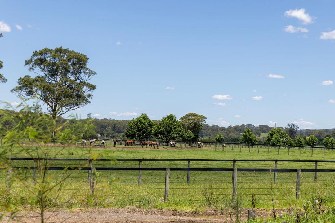 Photo of Others in Bomaderry