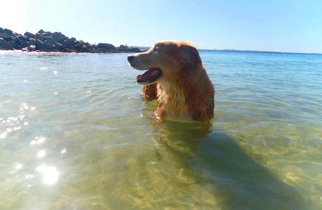 Photo of Others in Salamander Bay