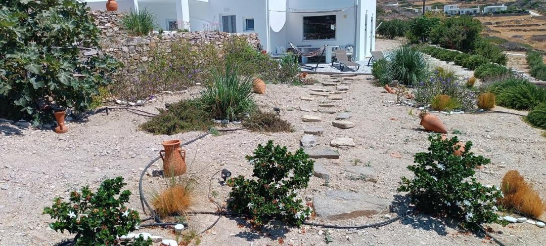 Photo of Others in Paros