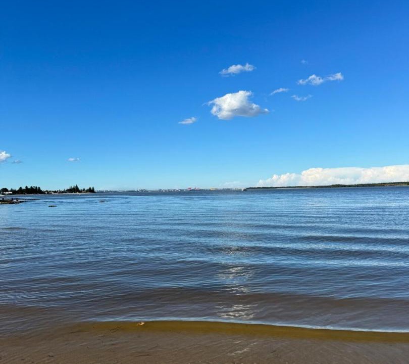 Photo of Others in Taren Point