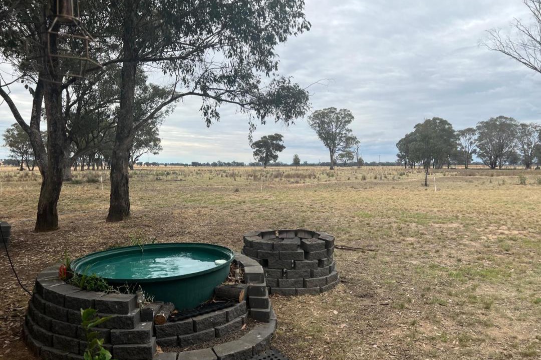 Photo of Others in Stockinbingal